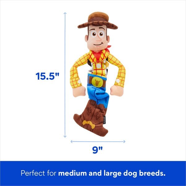 Pixar Monsters, Inc. Randall Bungee Plush Squeaky Dog Toy