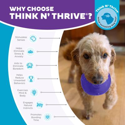 Show full view: Planet Dog Orbee-Tuff Lil Snoop Treat Dispenser Toy + Nina Ottosson by Outward Hound Apple Bacon Puzzle Bitez Training Dog Treat slide 5 of 9