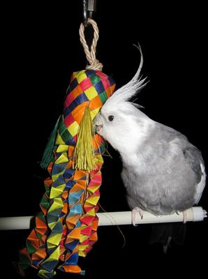 Show full view: Planet Pleasures Octopus Piñata Bird Toy, Color Varies, Small slide 2 of 4