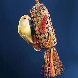 Planet Pleasures Spiked Piñata Natural Bird Toy, Color Varies, Small