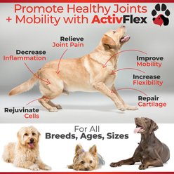Plano Paws ActivFlex Advanced Hip & Joint Natural Chicken Flavor Soft Chews Dog Supplement, 120 count slide 2 of 6