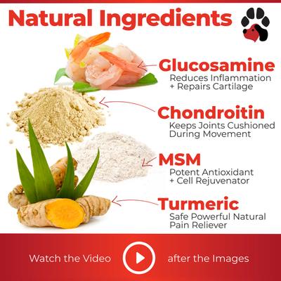 Show full view: Plano Paws ActivFlex Advanced Hip & Joint Natural Peanut Butter Flavor Soft Chews Dog Supplement, 120 count slide 4 of 8