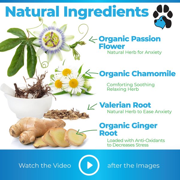 Plano Paws Calm Treats Advanced Calming Natural Chicken Flavor Chews Dog Supplement, 120 count