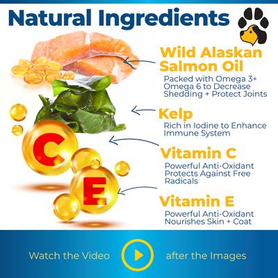 Show full view: Plano Paws Salmon Advanced Skin & Coat Natural Salmon Flavor Soft Chews Dog Supplement, 120 count slide 6 of 7