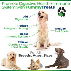 Plano Paws Tummy Treats Advanced Probiotic Natural Chicken Flavor Soft Chews Dog Supplement, 120 count slide 2 of 6