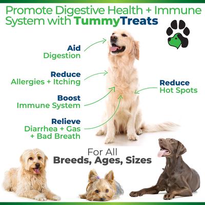 Show full view: Plano Paws Tummy Treats Advanced Probiotic Natural Chicken Flavor Soft Chews Dog Supplement, 120 count slide 3 of 7