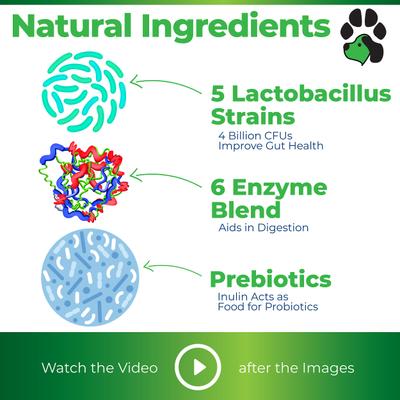 Show full view: Plano Paws Tummy Treats Advanced Probiotic Natural Chicken Flavor Soft Chews Dog Supplement, 120 count slide 4 of 7