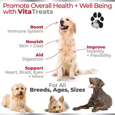 Show full view: Plano Paws Vita Treats 15 in 1 Multivitamins Natural Chicken Flavor Soft Chews Dog Supplement, 120 count slide 3 of 7