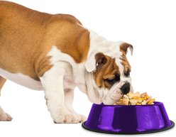 Platinum Pets Non-Skid Stainless Steel Embossed Dog & Cat Bowl, Electric Purple, 3.5-cup slide 2 of 6