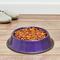 Show in main carousel: Platinum Pets Non-Skid Stainless Steel Embossed Dog & Cat Bowl, Electric Purple, 3.5-cup slide 6 of 9