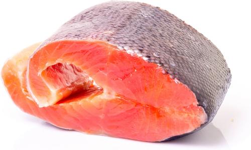 Show full view: Plato Thinkers Salmon Recipe Single Dog Treat, 1 count slide 4 of 6