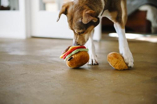 Show full view: P.L.A.Y. Pet Lifestyle and You American Classic Food Burger Squeaky Plush Dog Toy slide 6 of 11