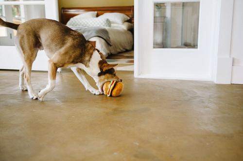 Show full view: P.L.A.Y. Pet Lifestyle and You American Classic Food Burger Squeaky Plush Dog Toy slide 7 of 11