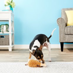 P.L.A.Y. Pet Lifestyle and You American Classic Food Fried Chicken Squeaky Plush Dog Toy slide 2 of 5