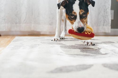 Show full view: P.L.A.Y. Pet Lifestyle and You American Classic Food Hot Dog Squeaky Plush Dog Toy slide 4 of 7