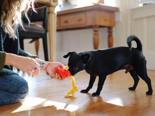 Show full view: P.L.A.Y. Pet Lifestyle and You American Classic French Fries Plush Squeaky Dog Toy, X-Small slide 4 of 5