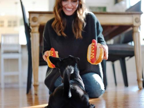 Show full view: P.L.A.Y. Pet Lifestyle and You American Classic Hot Dog Plush Squeaky Dog Toy, X-Small slide 4 of 4