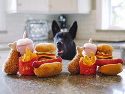 P.L.A.Y. Pet Lifestyle and You American Classic Mini Squeaky Dog Toy, 5 count slide 2 of 7