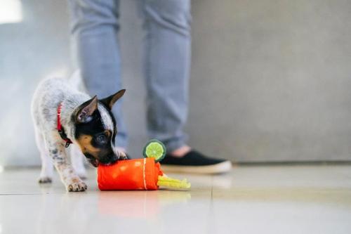 Show full view: P.L.A.Y. Pet Lifestyle and You Barking Brunch Buddy Mary Plush Squeaky Dog Toy, X-Small slide 5 of 6