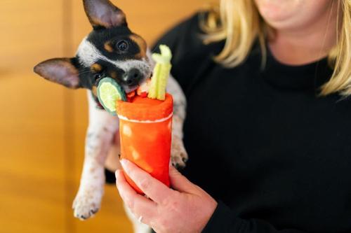 Show full view: P.L.A.Y. Pet Lifestyle and You Barking Brunch Buddy Mary Plush Squeaky Dog Toy, X-Small slide 6 of 6