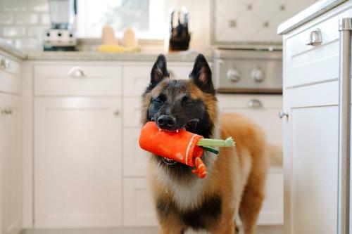 Show full view: P.L.A.Y. Pet Lifestyle and You Barking Brunch Collection, Buddy Mary Plush Squeaky Dog Toy slide 6 of 7