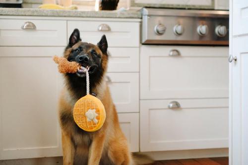 Show full view: P.L.A.Y. Pet Lifestyle and You Barking Brunch Collection, Chicken And Woofles Plush Squeaky Dog Toy slide 5 of 6