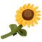 Show in main carousel: P.L.A.Y. Pet Lifestyle and You Blooming Buddies Collection Sassy Sunflower Plush Squeaky Dog Toy slide 2 of 6