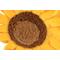 Show in main carousel: P.L.A.Y. Pet Lifestyle and You Blooming Buddies Collection Sassy Sunflower Plush Squeaky Dog Toy slide 3 of 6