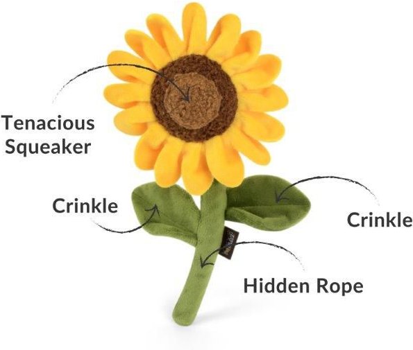 Show full view: P.L.A.Y. Pet Lifestyle and You Blooming Buddies Collection Sassy Sunflower Plush Squeaky Dog Toy slide 4 of 6