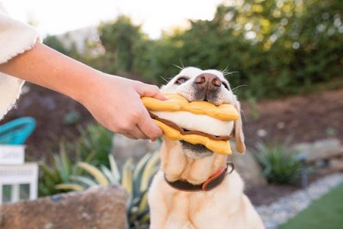 Show full view: P.L.A.Y. Pet Lifestyle and You Camp Corbin Collection Gimme S'More Plush Squeaky Dog Toy slide 5 of 6