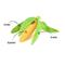 Show in main carousel: P.L.A.Y. Pet Lifestyle and You Farm Fresh Corn Plush Squeaky Dog Toy slide 2 of 4