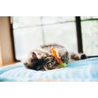 Show in main carousel: P.L.A.Y. Pet Lifestyle and You Feline Frenzy Farm To Tabby Plush Squeaky Cat Toy slide 5 of 5