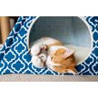 Show in main carousel: P.L.A.Y. Pet Lifestyle and You Feline Frenzy Hootiful Owls Plush Squeaky Cat Toy slide 5 of 6