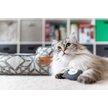 Show in main carousel: P.L.A.Y. Pet Lifestyle and You Feline Frenzy Hootiful Owls Plush Squeaky Cat Toy slide 6 of 6