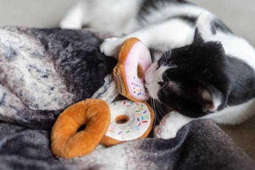 Show full view: P.L.A.Y. Pet Lifestyle and You Feline Frenzy Kitty Kreme Doughnuts Plush Squeaky Cat Toy slide 6 of 6
