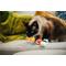 Show in main carousel: P.L.A.Y. Pet Lifestyle and You Feline Frenzy Sassy Sushi Plush Squeaky Cat Toy slide 4 of 5