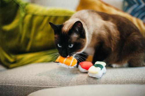 Show full view: P.L.A.Y. Pet Lifestyle and You Feline Frenzy Sassy Sushi Plush Squeaky Cat Toy slide 4 of 5