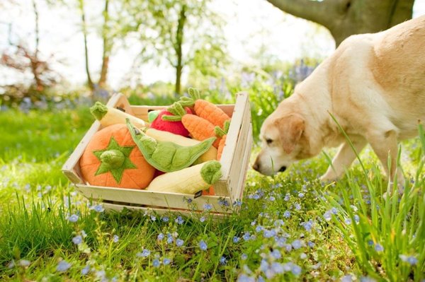 Show full view: P.L.A.Y. Pet Lifestyle and You Garden Fresh Carrot Plush Squeaky Dog Toy, X-Small slide 3 of 4