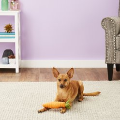 P.L.A.Y. Pet Lifestyle and You Garden Fresh Carrot Squeaky Plush Dog Toy slide 2 of 5