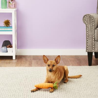 Show full view: P.L.A.Y. Pet Lifestyle and You Garden Fresh Carrot Squeaky Plush Dog Toy slide 2 of 6
