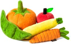 P.L.A.Y. Pet Lifestyle and You Garden Fresh Mini Squeaky Dog Toy, 5 count