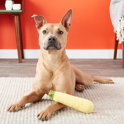 P.L.A.Y. Pet Lifestyle and You Garden Fresh Zucchini Squeaky Plush Dog Toy slide 2 of 6