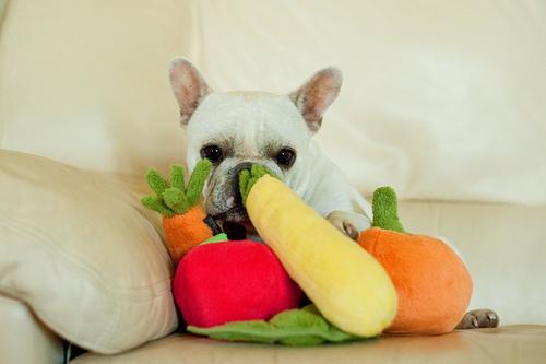 Show full view: P.L.A.Y. Pet Lifestyle and You Garden Fresh Zucchini Squeaky Plush Dog Toy slide 3 of 8