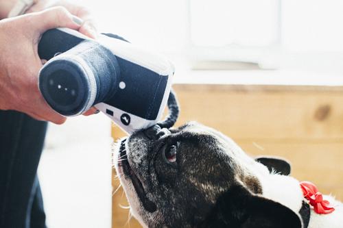 Show full view: P.L.A.Y. Pet Lifestyle and You Globetrotter Camera Squeaky Plush Dog Toy slide 3 of 6