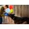 Show in main carousel: P.L.A.Y. Pet Lifestyle and You Party Time Collection Bestdayever Balloon Plush Squeaky Dog Toy slide 5 of 5