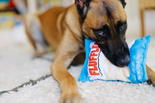 Show full view: P.L.A.Y. Pet Lifestyle and You Snack Attack Collection Fluffles Chips Plush Squeaky Dog Toy slide 9 of 11