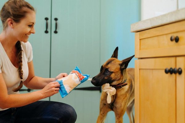 Show full view: P.L.A.Y. Pet Lifestyle and You Snack Attack Collection Fluffles Chips Plush Squeaky Dog Toy slide 9 of 10