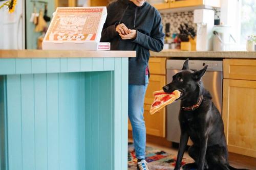 Show full view: P.L.A.Y. Pet Lifestyle and You Snack Attack Collection Puppyroni Pizza Plush Squeaky Dog Toy slide 6 of 7