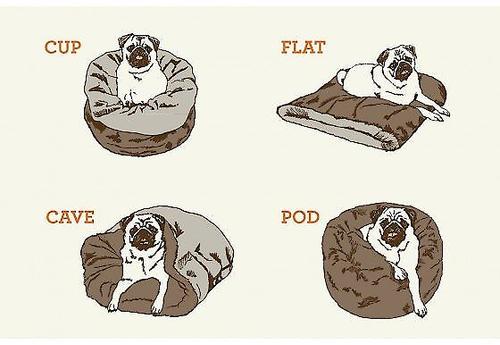 Show full view: P.L.A.Y. Pet Lifestyle and You Snuggle Covered/Bolster Cat & Dog Bed, Husky Gray, Large slide 5 of 12