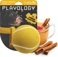 Playology Apple Cider Scented Squeaky Chew Ball Dog Toy, Jumbo